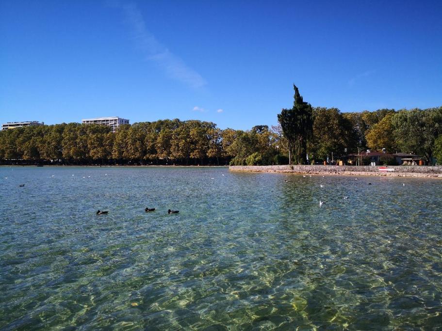 Studio Moderne, Place Parking Prive, Emplacement Ideal A 100 M Du Lac. Annecy Buitenkant foto