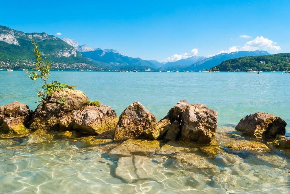 Studio Moderne, Place Parking Prive, Emplacement Ideal A 100 M Du Lac. Annecy Buitenkant foto